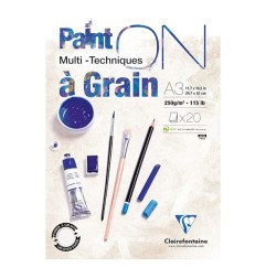 1 - BLOCCO DISEGNO A GRANA A3 250gr. 20fg PAINT'ON CLAIREFONTAINE 975050C