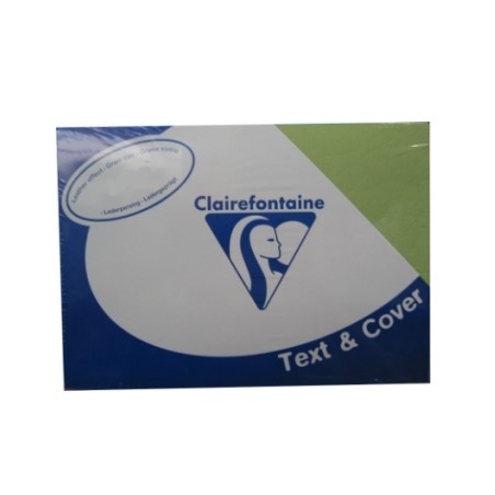 1 - CLAIREFONTAINE 100 fogli Carta per fotocopie A4 pelle verde 2775 240 gr