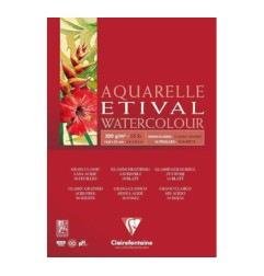 1 - BLOCCO AQUARELLO A5 200gr. 10fg COLLATO ETIVAL CLAIREFONTAINE 96373C