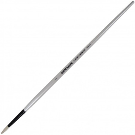 PENNELLO GRADUATE IN SETOLA TONDO M/L N.2 D212145002