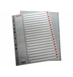 1 - ESSELTE Rubrica mylar A/Z PLP maxi 24x30 100129