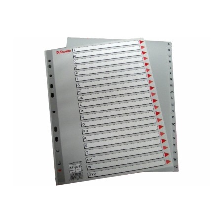 1 - ESSELTE Rubrica mylar A/Z PLP maxi 24x30 100129