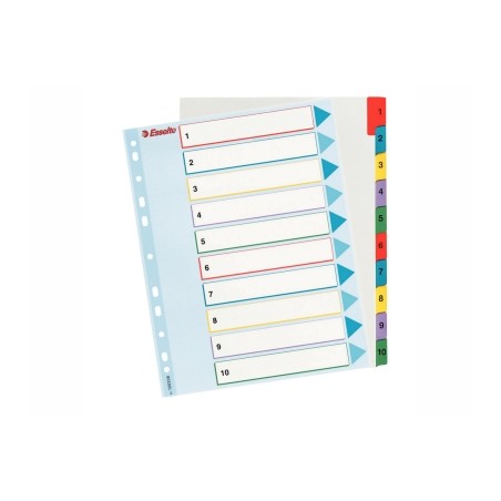 1 - ESSELTE Rubrica mylar A4 1/10 con indice riscrivibile 100208