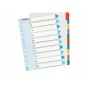 ESSELTE Rubrica mylar A4 1/10 con indice riscrivibile 100208
