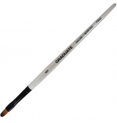 1 - PENNELLO GRADUATE SINTETICO LINGUA DI GATTO M/C N.6 D212167006