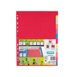 1 - FAVORIT  Divisori intercalare in cartoncino A4 12 colori Favorit 204882