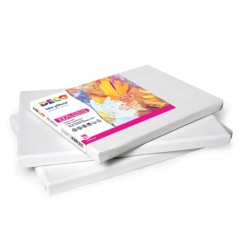 1 - CWR Tela DECO su Telaio in Legno 30x40 per Pittura Grana Normale 385/3040