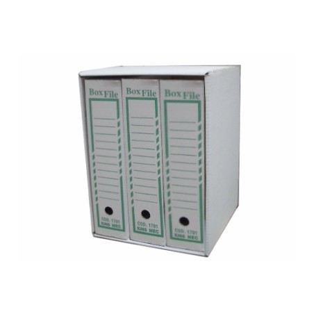 1 - ACCO Box 3 Raccoglitori +Custodia 33x25x8 cm