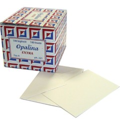 1 - Set 100 Biglietti da Visita e 100 Buste, di colore Bianco, f.to 4 7x11 cm 221