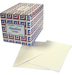 1 - Set 100 Biglietti da Visita e 100 Buste, di colore Bianco, f.to 9 9x14 cm 222