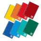 BLASETTI - Quaderno A4 Spiralato ONE COLOR Interno Bianco 60 fogli 4 Fori 6820