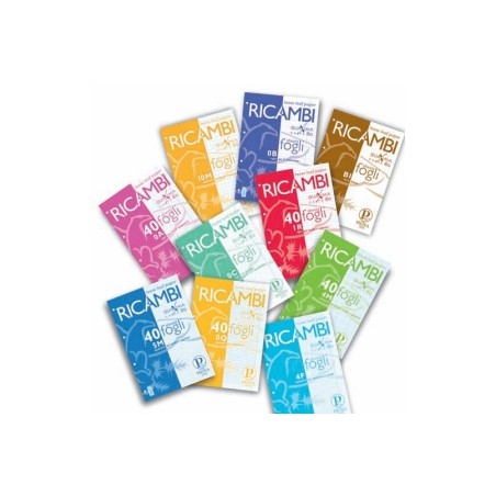 1 - PIGNA Ricambi forati formato A4 80 gr40 fogli a righe   062903
