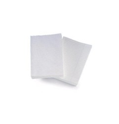 1 - BREFIOCART Carta protocollo 400f 2 colori 60GR