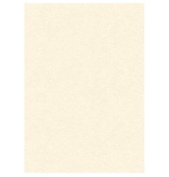 1 - DIPLOMA PERGAMENA A4 160GR NEUTRA 10Fg. 146194