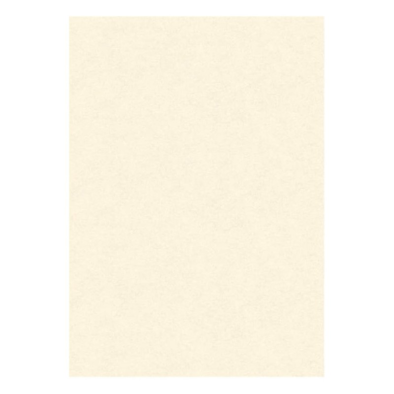 DIPLOMA PERGAMENA A3 160GR NEUTRA 10Fg. 146182