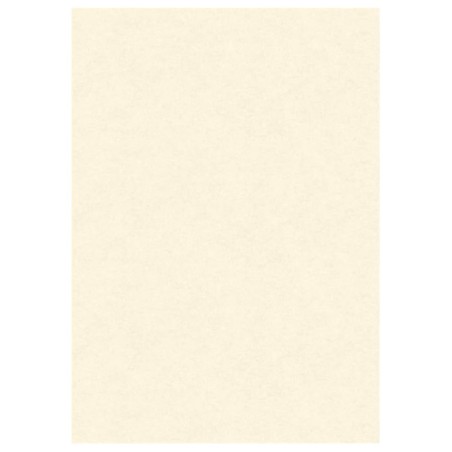 1 - DIPLOMA PERGAMENA A3 160GR NEUTRA 10Fg. 146182