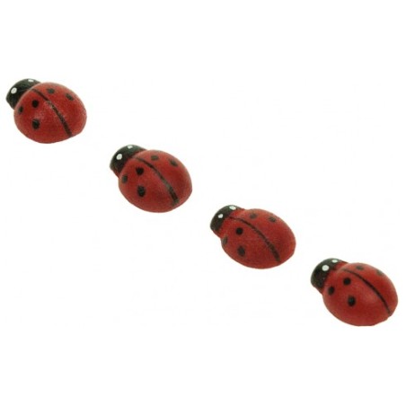 1 - ACCESSORI CREATIVITY COCCINELLA 12X15MM IN LEGNO 30pz WD35