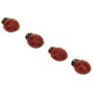 ACCESSORI CREATIVITY COCCINELLA 12X15MM IN LEGNO 30pz WD35