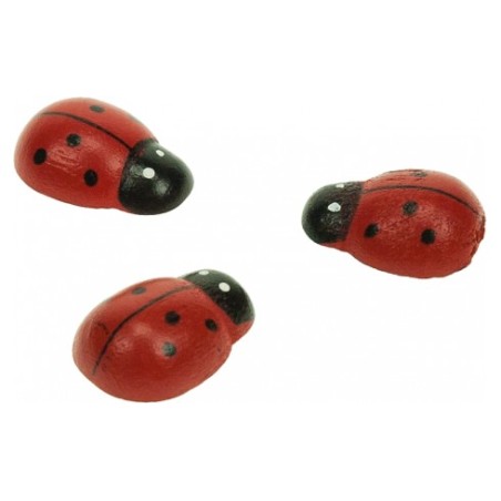 1 - ACCESSORI CREATIVITY COCCINELLA 18X25MM IN LEGNO 12pz WD37