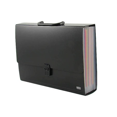 1 - LEBEZ Cartella Portadocumenti A4 con 25 Tasche Colorate - Nero 2580