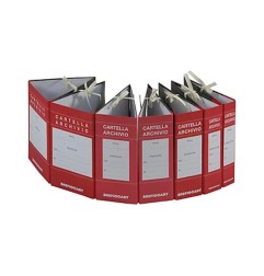 1 - BREFIO FALDONE ARCHIVIO CON LACCI IN CARTONE DORSO 18