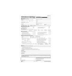 1 - EDIPRO  Rapporto di controllo di efficienza energetica tipo 1 25x3 copie E9091T1