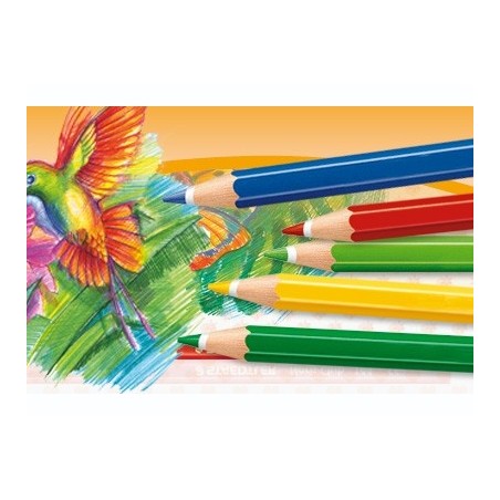 1 - Colore pastello esagonale Staedtler 4 noris club arancio  144-4