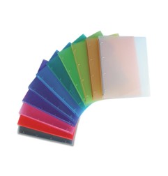 1 - NIKOFFICE Raccoglitore in PPL 4 Anelli d.16mm 22x30 cm - Colori Assortiti 01/172-4N