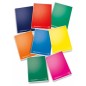 PIGNA Conf.10 pz Quaderni COLOURS A5 Rig.5M 20+1 fogli - Colori Assortiti 213641