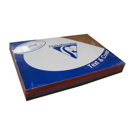 Clairefontaine Text&Cover Copertina per Rilegatura A4 Colori Intensi Assortiti Pelle 270 g/m² 100 Fogli 2712