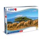 TEOREMA PUZZLE AFRICA - VEDUTA DEL KILIMANGIARO 70X50CM  1000 PZ 67035