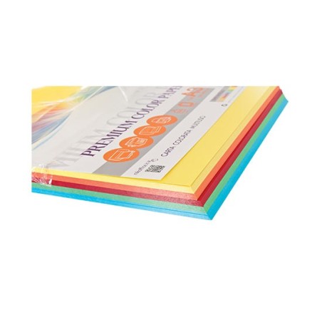 Carta per fotocopie A3 5 colori intensi 200gr 100 fogli 23/167