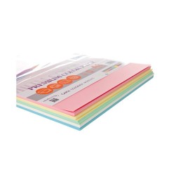 Carta per fotocopie A3 5 colori pastello 200gr 100 fogli 23/166