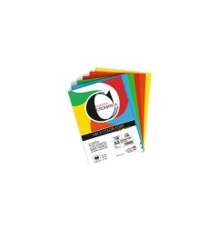 Carta Colorata Cromatica CWR 160g/m² A3 100 Fogli in 
 5 Colori Forti Assortiti 12307/100