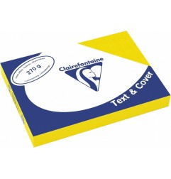 Clairefontaine Text&Cover Copertina per Rilegatura A4 Gialla Tipo Pelle 270 g/m² 2700