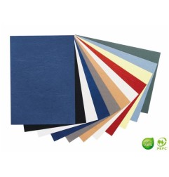 Clairefontaine Text&Cover Copertina per Rilegatura A4 Colori Intensi Assortiti Pelle 270 g/m² 100 Fogli 2712