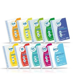 Blasetti Ricambio Rinforzato A4 40 Fogli Bianchi Rigatura BCO 100 g/m² 4 Fori 5447