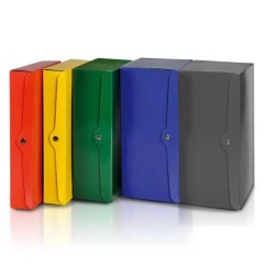 Progetti Lusso Cartella Progetti D.12 cm Rosso con Bottone Foro ed Etichetta 0208616.RO