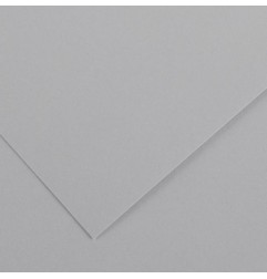 Canson Colorline Carta Grigio Chiaro 35 A4 220 g/m² Liscio Ruvido 50 Fogli C507412027