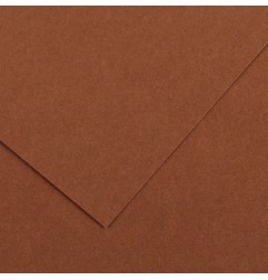 Canson Colorline Carta Nocciola 33 A4 220 g/m² Liscio Ruvido 50 Fogli C507412025