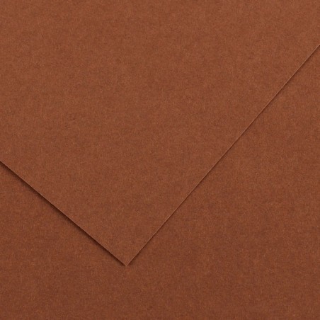 Canson Colorline Carta Nocciola 33 A4 220 g/m² Liscio Ruvido 50 Fogli C507412025