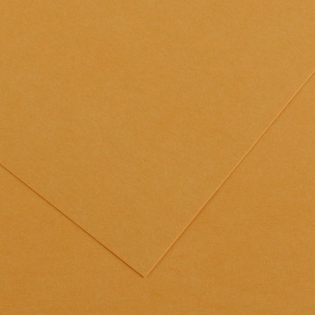 Canson Colorline Carta Cuoio 32 A4 220 g/m² Liscio Ruvido 50 Fogli C507412024