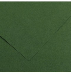 Canson Colorline Carta Verde Abete 31 A4 220 g/m² Liscio Ruvido 50 Fogli C507412023