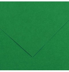 Canson Colorline Carta Verde Vivo 30 A4 220 g/m² Liscio Ruvido 50 Fogli C507412022