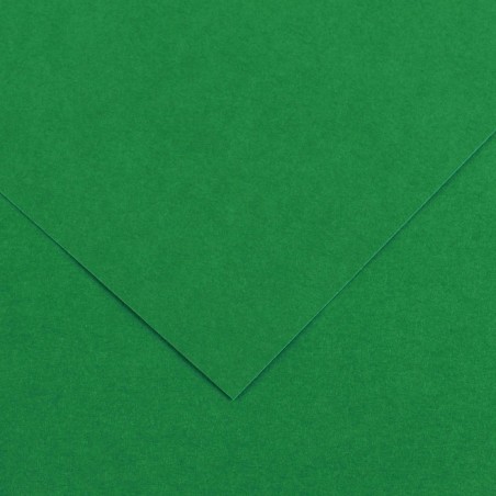 Canson Colorline Carta Verde Vivo 30 A4 220 g/m² Liscio Ruvido 50 Fogli C507412022