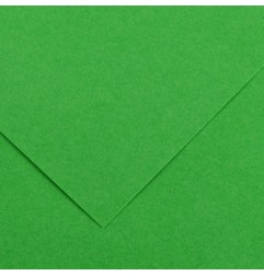 Canson Colorline Carta Verde Brillante 29 A4 220 g/m² Liscio Ruvido 50 Fogli C507412021