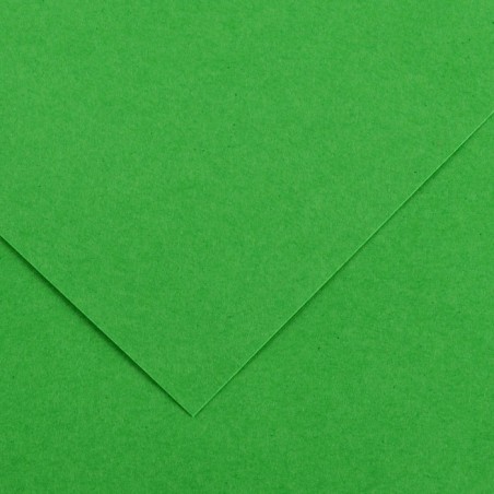 Canson Colorline Carta Verde Brillante 29 A4 220 g/m² Liscio Ruvido 50 Fogli C507412021