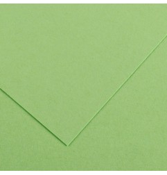 Canson Colorline Carta Verde Mela 27 A4 220 g/m² Liscio Ruvido 50 Fogli C507412020