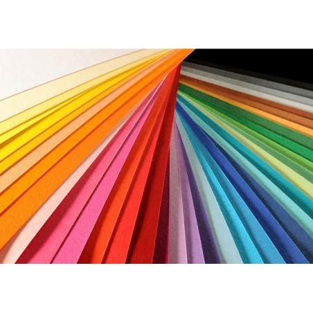 Canson Colorline Carta Bianca 01 A4 220 g/m² Liscio Ruvido 50 Fogli C507412000