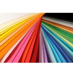 Canson Colorline Carta Blu Mari del Sud 26 A4 220 g/m² Liscio Ruvido 50 Fogli C507412019